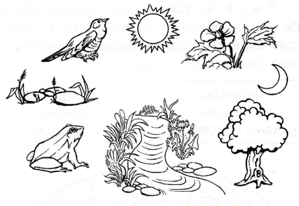 Задания по окружающему миру 1 класс Живая и неживая природа