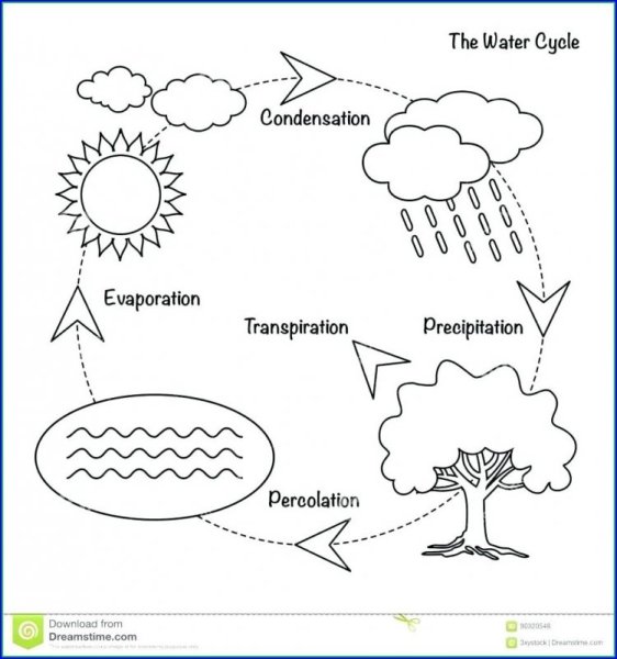 Схема для раскрашивания круговорот воды для дошкольников