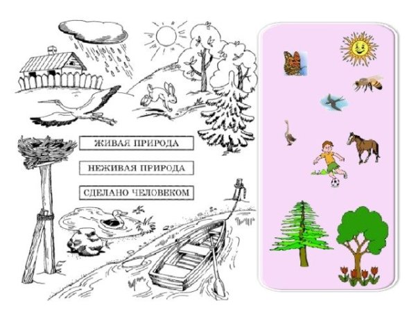 Живая и неживая природа задания для детей