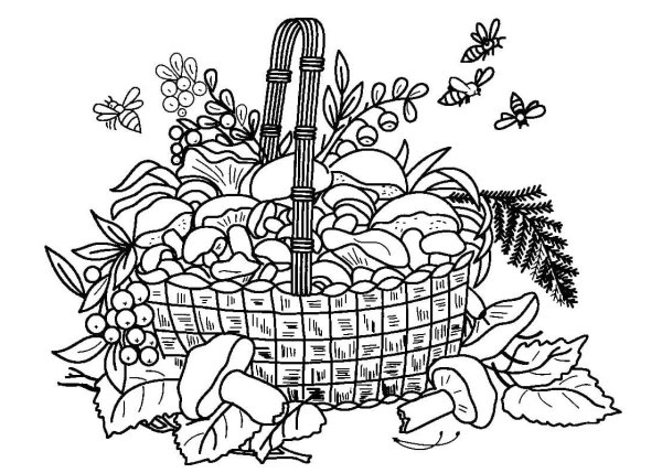 Осенняя раскраска