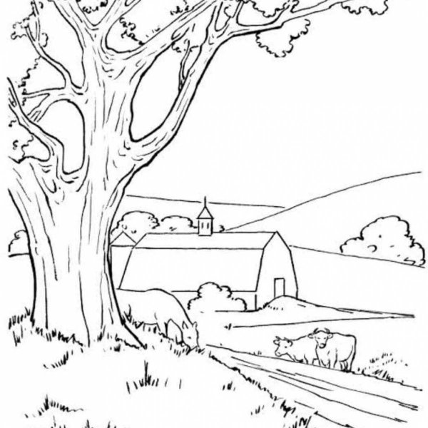 Раскраска природа