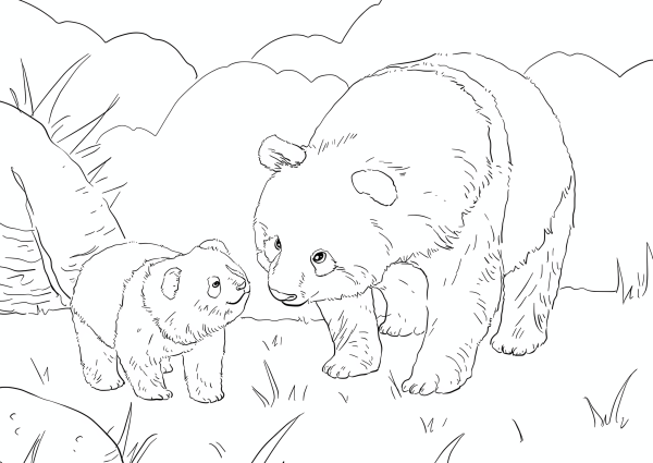 Раскраска медведь с медвежонком