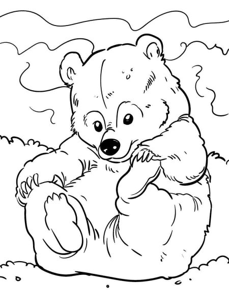 Bear to Colour