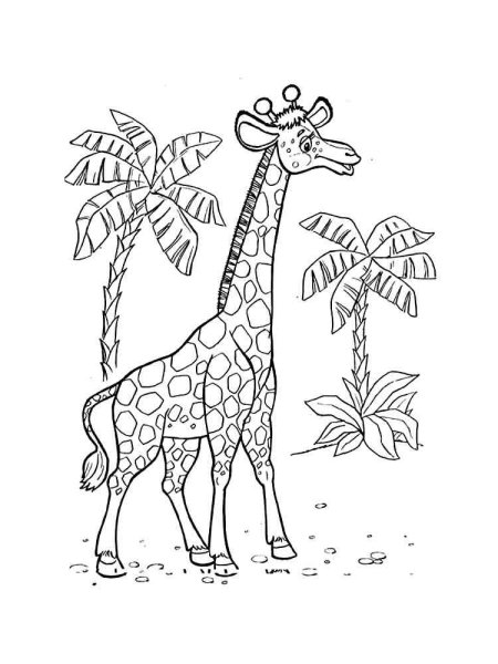 Жираф. Раскраска
