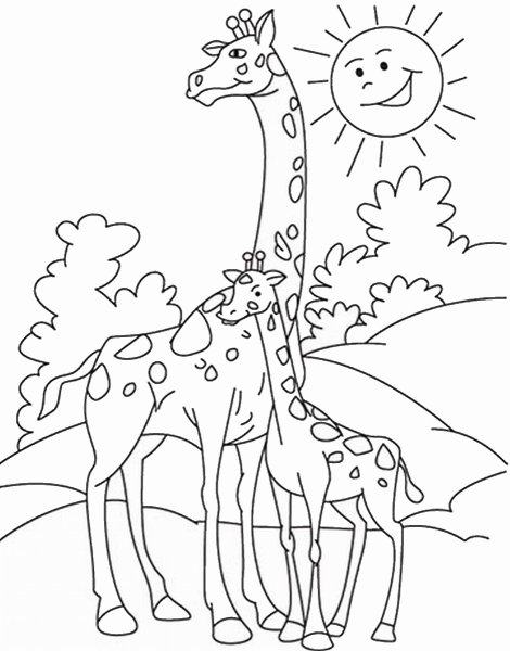 Жираф. Раскраска