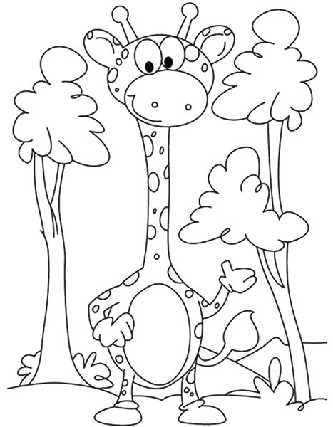 Жираф. Раскраска