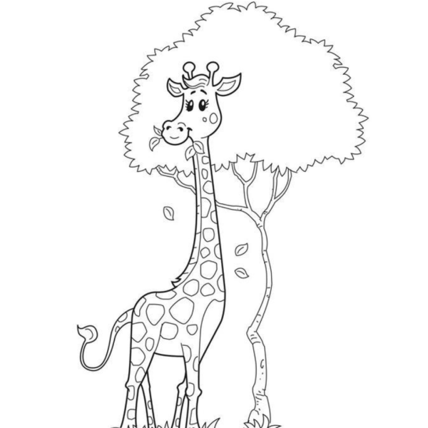 Жираф. Раскраска
