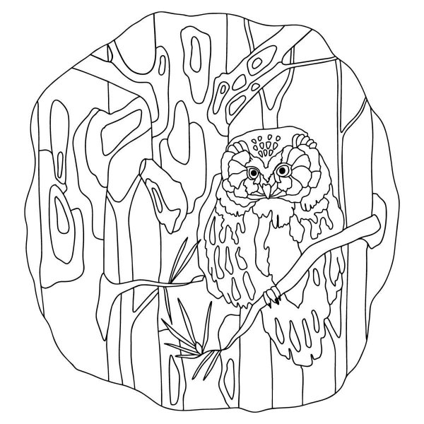 Раскраска дом Совы