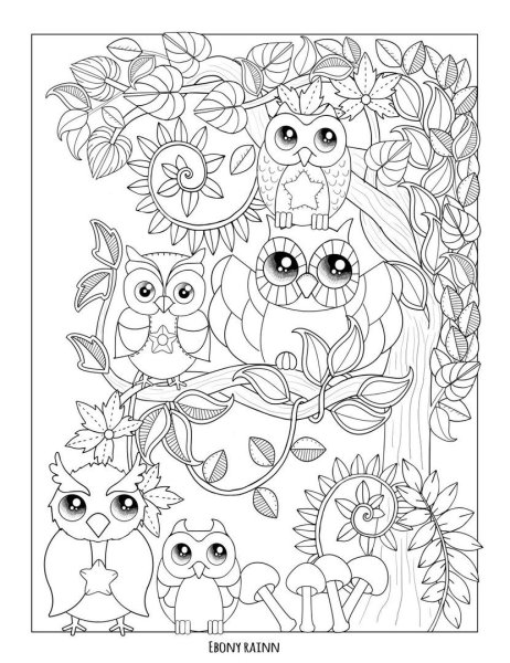 Раскраска Совенок