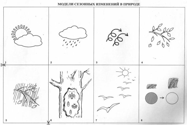 Схемы по экологии для дошкольников