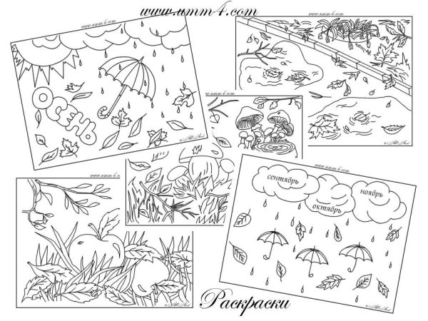 Раскраски с заданиями осень
