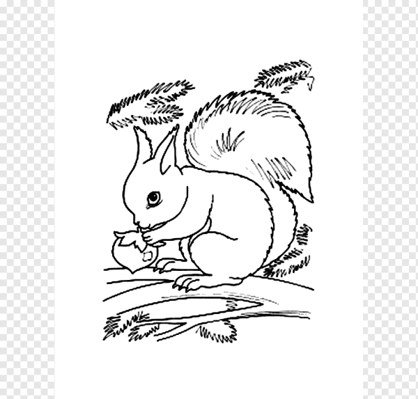 Белка с бельчатами раскраска