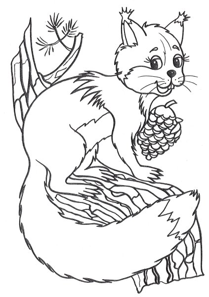 Раскраска Белочка с орешками