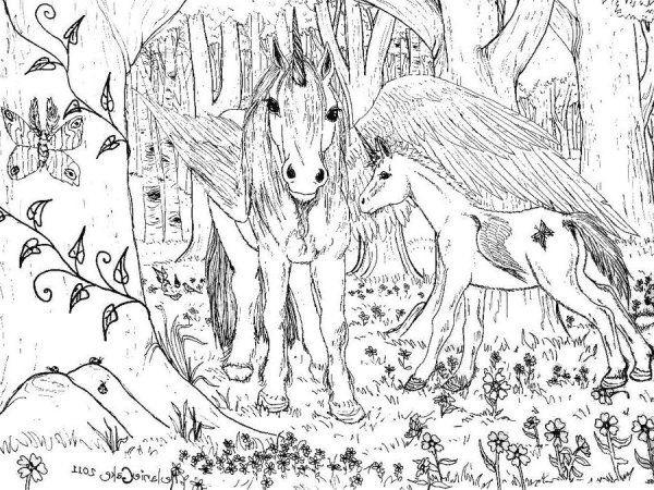 Раскраска Пегас Единорог