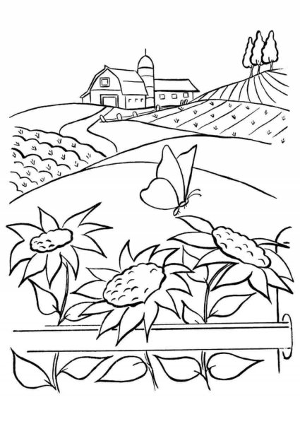 Деревенский пейзаж раскраска