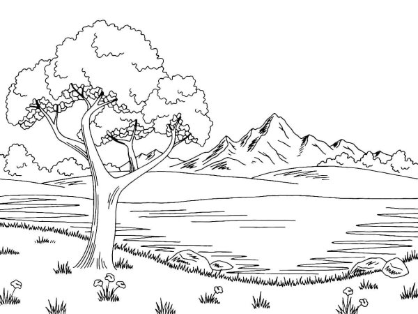 Озеро раскраска для детей