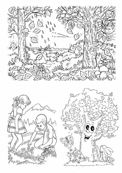 Эколята раскраски для детей