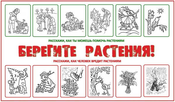 Плакат берегите растения