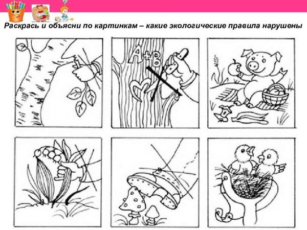 Раскраски безопасность в природе