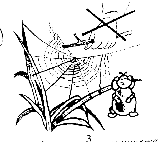 Правила поведения на природе раскраска