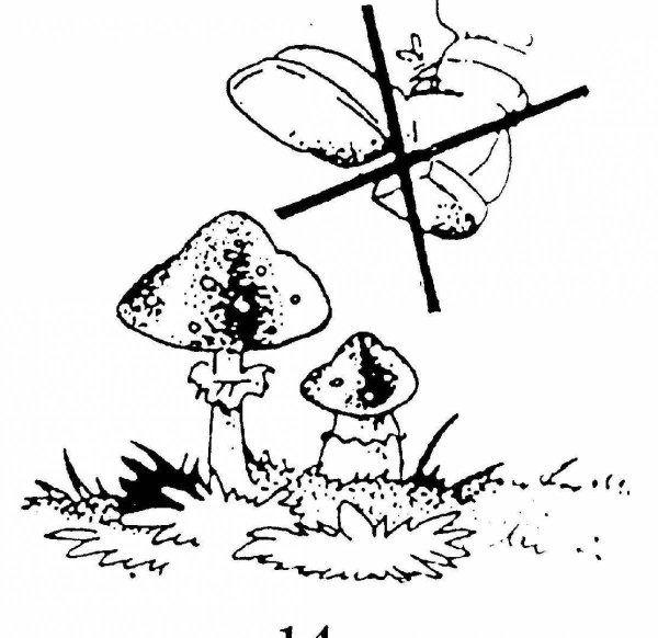 Раскраски экология для дошкольников