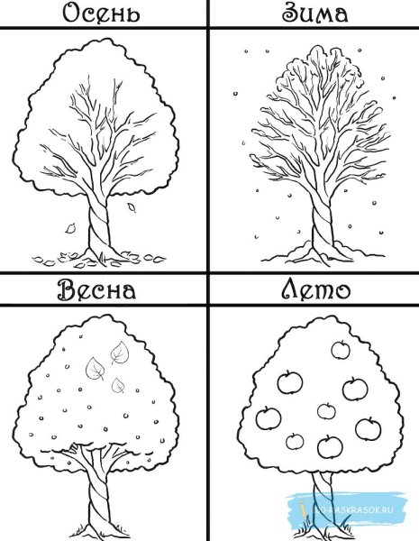 Раскраска дерева зимой весной летом осенью