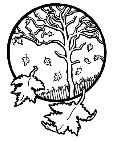 Рисунок осень раскраска