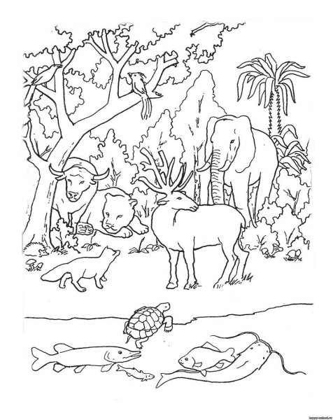 Раскраска животный мир