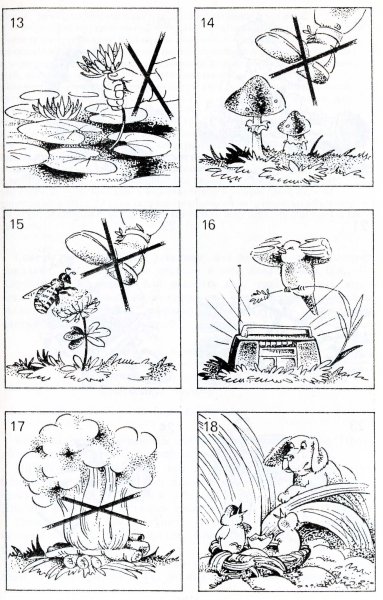 Раскраска правила поведения в природе для детей