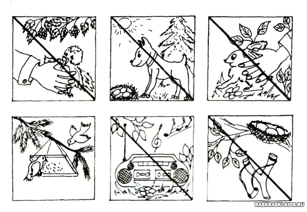 Знаки поведения в природе для дошкольников