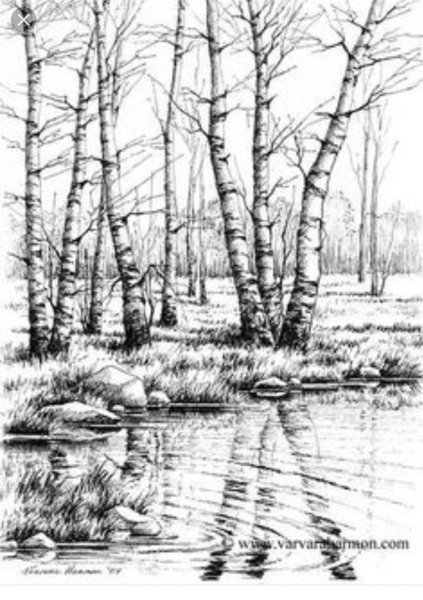 Весенний пейзаж карандашом