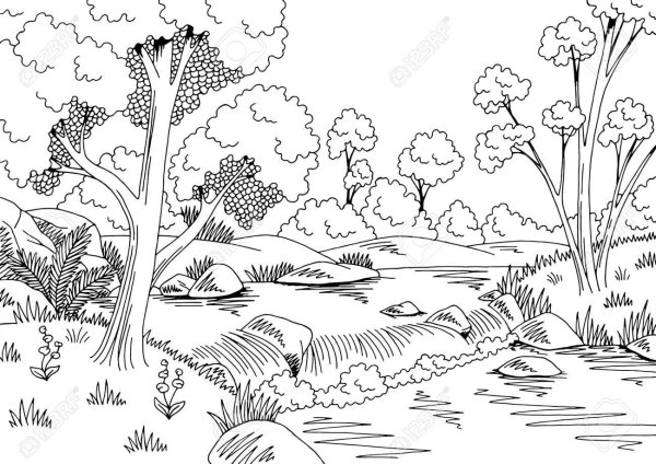 Лес поля река пейзаж вектор чб