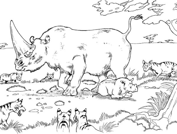 Раскраска древние животные