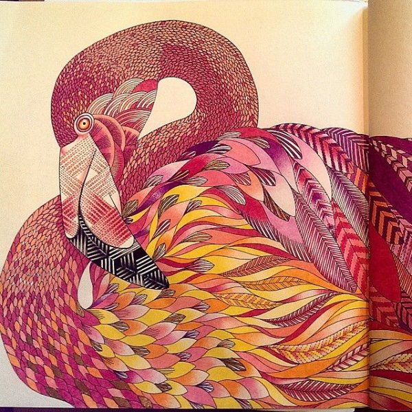 Милли Маротта в царстве животных