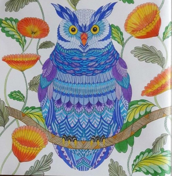 Маротта Милли "чудеса природы"