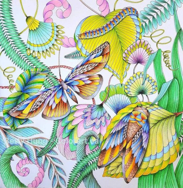 Милли Маротта в стране чудес