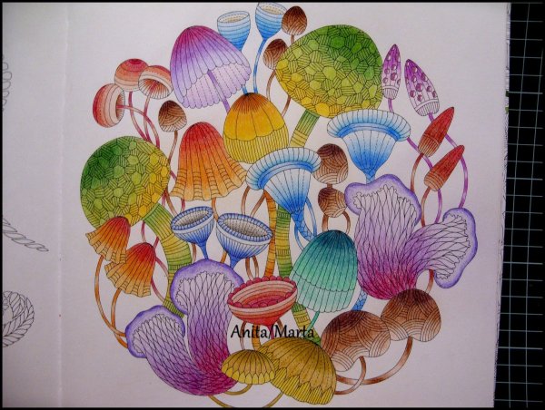 Маротта Милли "чудеса природы"