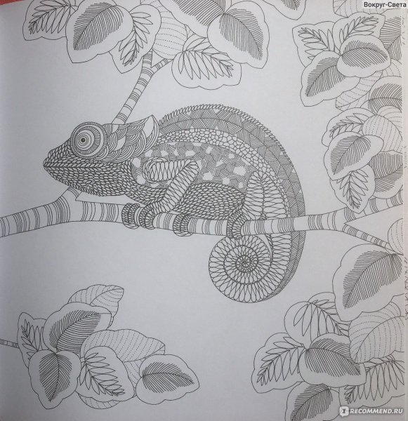 Милли Маротта раскраски Раскрашенные страницы