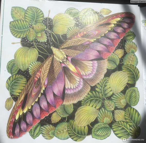 Чудеса природы Милли Моротто