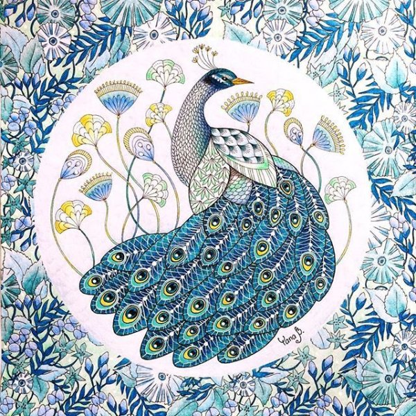 Милли Маротта картины