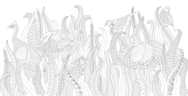 Маротта Милли "чудеса природы"