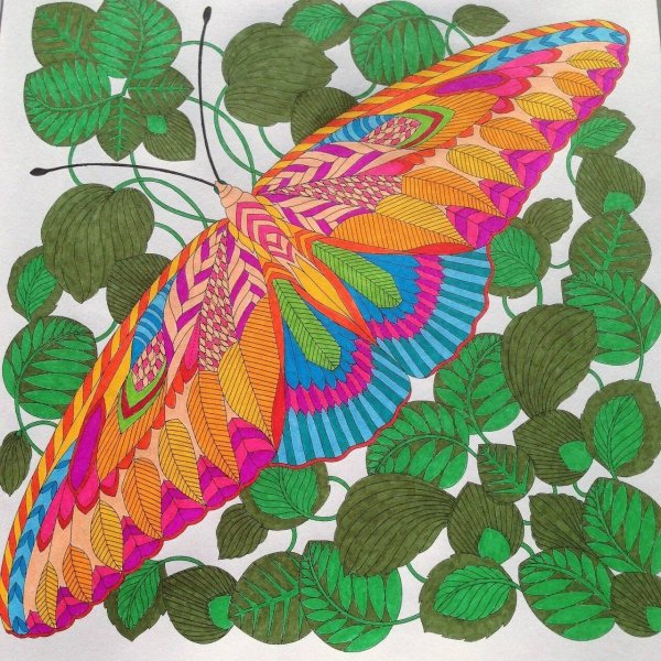 Милли Маротта Павлин в цвете