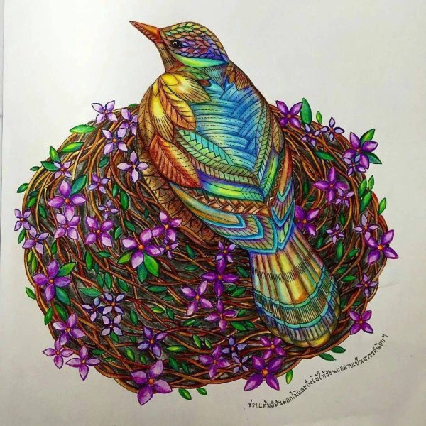 Павлин Милли Маротта