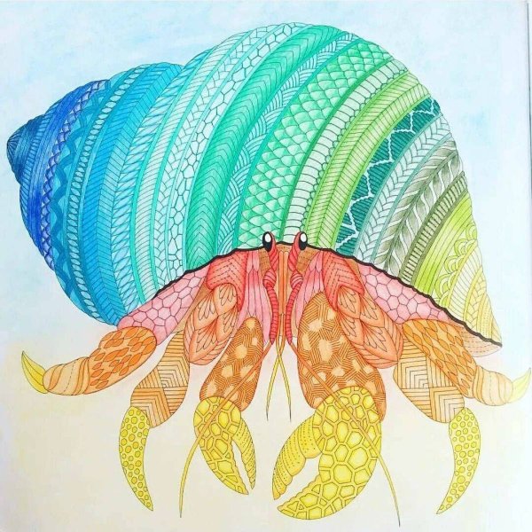 Милли Маротта медуза