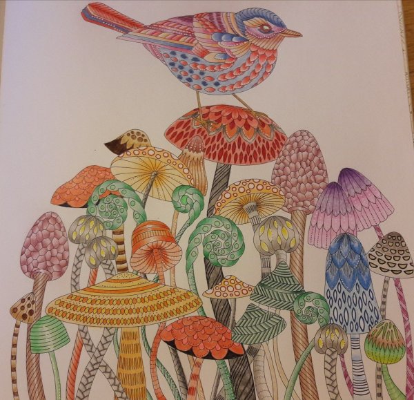 Милли Маротта птицы