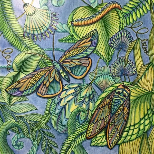 Милли Маротта Тропик