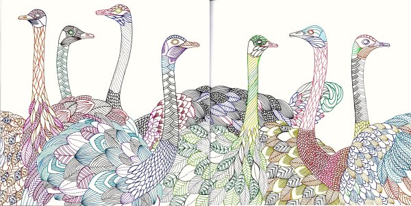 Милли Маротта Первозданная красота