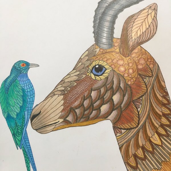 Милли Маротта Первозданная красота Раскрашенная