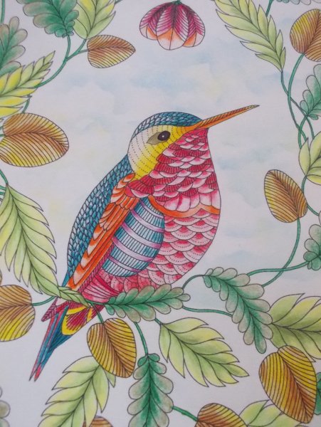 Милли Маротта обезьяна