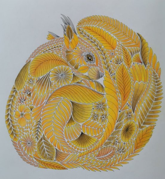 Милли Маротта чудес природы